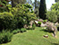 Walk between the pool and summer kitchen